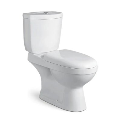 A2132 (WC S-TRAP)