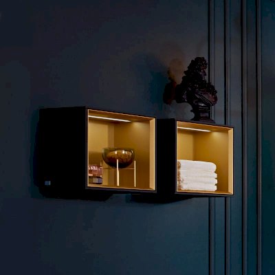 Finion Shelf Module