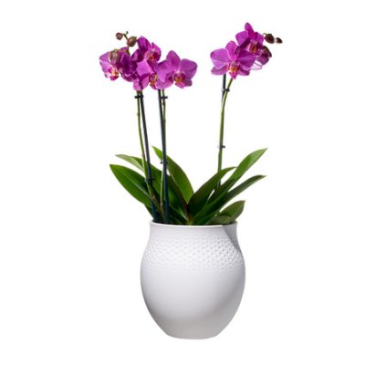 Manufacture Collier Blanc Vase Perle Large 16.5x16.5x17.5cm