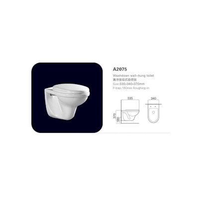 Washdowm Wall-Hung Wc (670X340X1100 mm)