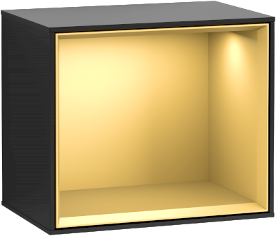 Finion Shelf Module