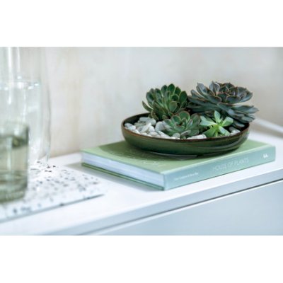 Crafted Breeze Deep Plate 21.5x21.5x3.5cm