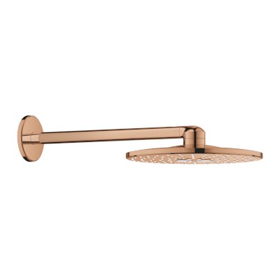 RSH SmartActive 310 headshower set