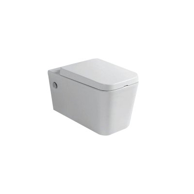 Tredex Washdown Wall Hung Wc(500X355X395 mm)