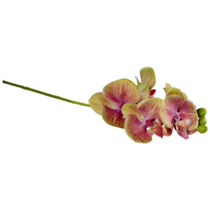 Artificial Flowers Orchidea 38cm